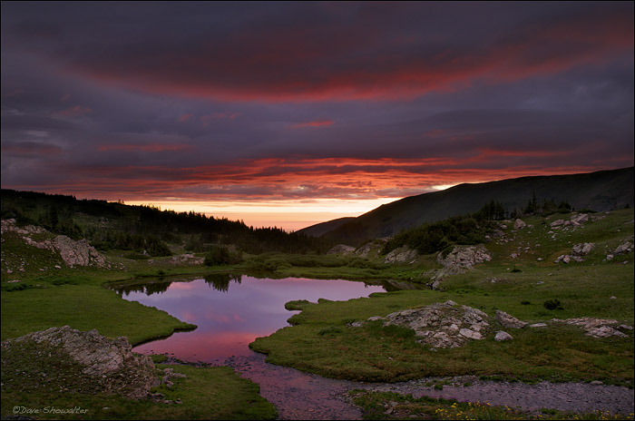 A colorful sunrise is reflected in a high apine tarn that is the headwaters of South Boulder Creek. The alpine tundra is a brilliant...